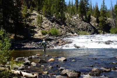 DSC_9924 (Large).JPG